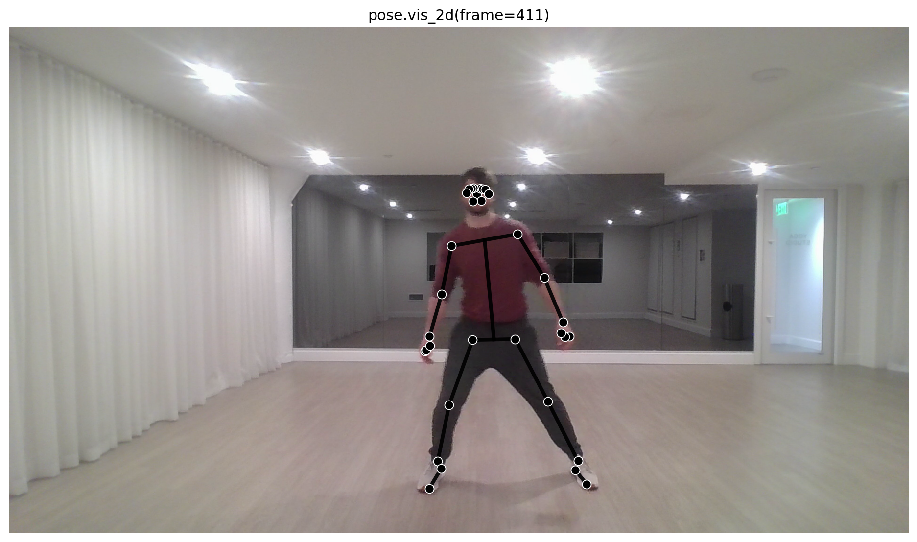 Video pose overlay